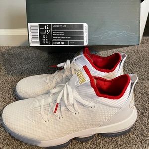 Lebron low top